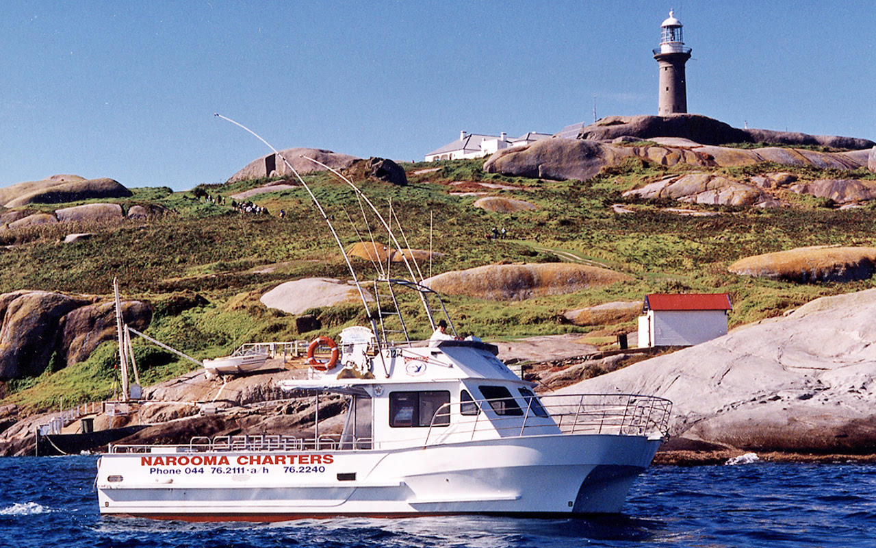 Montague Island Tours with Narooma Charters